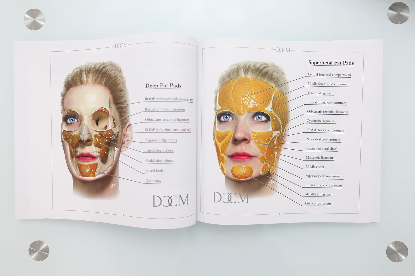 Facial Anatomy Manual