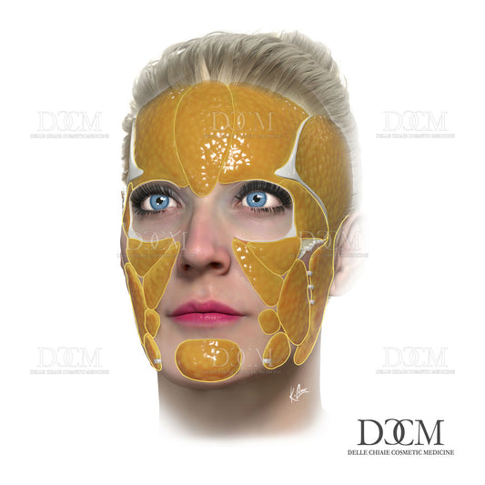 Superficial Fat Pads Poster